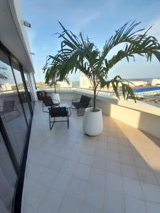 eine Terrasse mit einer Palme und Stühlen auf einem Gebäude in der Unterkunft Executive Style Condo With Sea Views in Porlamar