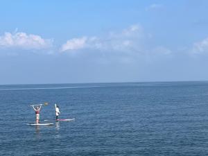 dos personas en tablas de surf de remo en el agua en GuestHouse紫雲, en Toyohama