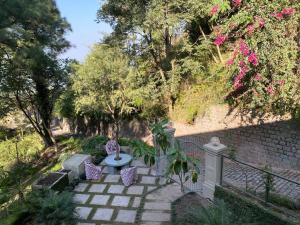 7 Pines Kasauli外面的花园