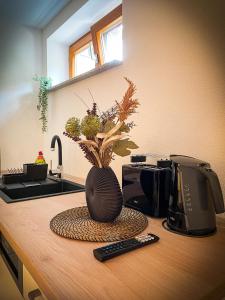 un vaso con delle piante, seduto su un bancone della cucina. di Deine-Ferienwohnung a Mahlberg