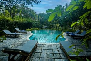 a swimming pool with two lounge chairs in a garden at Ilukketiya Tea Chalets in Galle