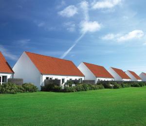 een rij huizen met rode daken op een groen veld bij Skagen Strand Holiday Center in Hulsig