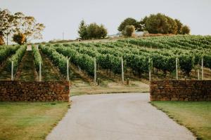 a dirt road in front of a vineyard at Meander Valley Vineyard Escape in Red Hill