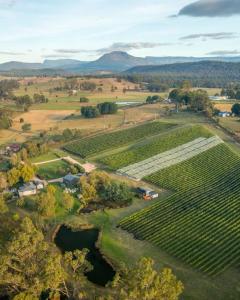 an aerial view of a vineyard with a river and trees at Meander Valley Vineyard Escape in Red Hill