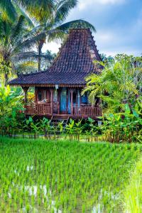 una casa con una terraza de madera en un campo en Villa Neyang, en Ubud