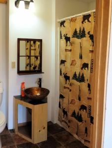 a bathroom with a sink and a shower curtain at Bear Den Vacation Home in Anchor Point