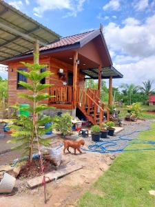 una casa que se está construyendo con un árbol en บ้านพักตากอากาศ ยินดีต้อนรับสัตว์เลี้ยง, 