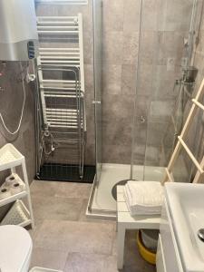 W łazience znajduje się prysznic, toaleta i umywalka. w obiekcie Hód-Thermal Camping w mieście Hódmezővásárhely
