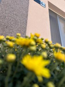 Fotografie z fotogalerie ubytování Apartman Teodora v destinaci Subotica