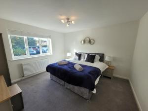 a bedroom with a bed with a blue blanket and a window at Midland Close Bungalow - With separate office space by Catchpole Stays in Colchester