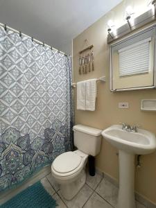 a bathroom with a toilet and a sink and a shower at Paradise Oceanfront Condo - Ocean Is Your Home in Luquillo