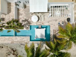 - une vue sur la piscine bordée de palmiers dans l'établissement Oceanfront 5-Stars Starfish Villa, Dawn Beach, Private Pool, Secured, Concierge, à Oyster Pond