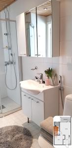 a bathroom with a sink and a shower with a mirror at Levistar II, apartment 310 in Levi