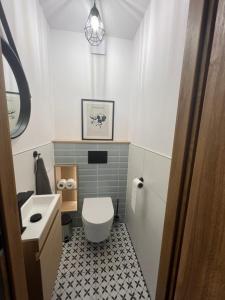 une petite salle de bain avec toilettes et lavabo dans l'établissement Apartmán pod Lesom Kežmarok, à Kežmarok 1 autre photo