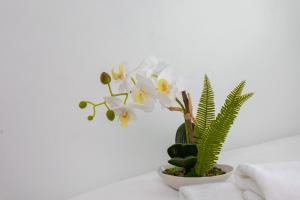 Fotografie z fotogalerie ubytování Jen Sabaai v destinaci Ban Muang