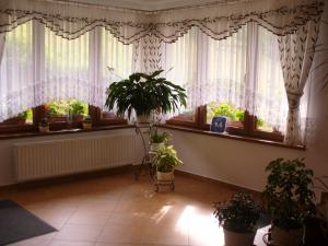 Fotografia z galérie ubytovania Willa Floryn v destinácii Bukowina Tatrzańska