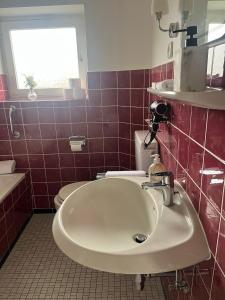 La salle de bains est pourvue d'un lavabo et de toilettes. dans l'établissement Ferien Haus Im Alten-Land Die Lühe vor der Tür, à Steinkirchen