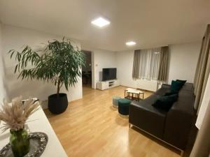 un salon avec un canapé et une plante en pot dans l'établissement Bodensee Wohnung 2 mit Privatstrand, à Gaißau