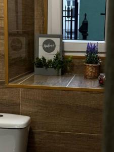 a bathroom with a toilet and plants in a window at Kleparski 17 Apartament in Krakow