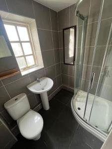 a bathroom with a toilet and a sink and a shower at The Coachhouse, Hot Tub in Henley in Arden