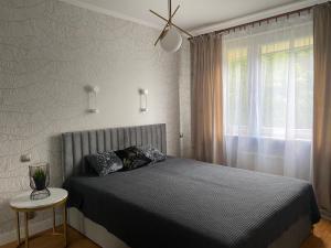 1 dormitorio con cama y ventana en APARTAMENT PRZY LESIE, en Cracovia