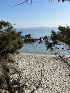 Beach sa o malapit sa bed & breakfast