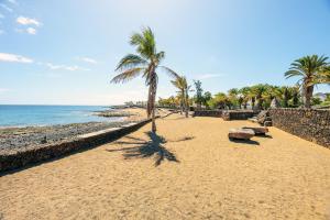 a sandy beach with palm trees and the ocean at Lanzahost Carmenes Comfort in Costa Teguise