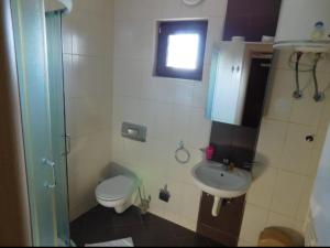 ein kleines Badezimmer mit Toilette und Waschbecken in der Unterkunft JollyKop Vila Valentina A14 in Kopaonik + 5 Fotos