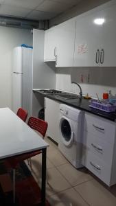 une cuisine avec un lave-linge et une table dans l'établissement Kadıköy Lina Apart Female Only, à Istanbul
