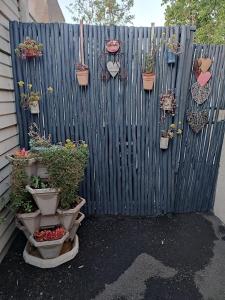 ein blauer Zaun mit Topfpflanzen darauf in der Unterkunft Cozy Cottage Accommodation in Johannesburg in Roodepoort