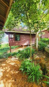 a small house with a tree in front of it at Sweet Jungle Bungalows in Koh Rong Island