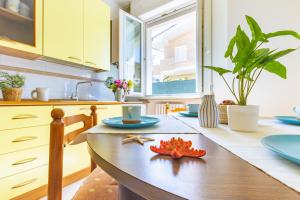 una cocina con una mesa con una estrella de mar. en Appartamento Bellariva PT - MyHo Casa, en Porto San Giorgio