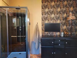 a bathroom with a shower and a television on a dresser at Chambres d'hôtes - la Puysæ in Saint-Sauveur-en-Puisaye