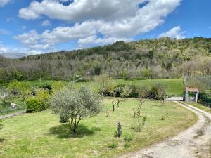 a garden with trees and a hill in the background at Anna&Franco Guest House in Isernia