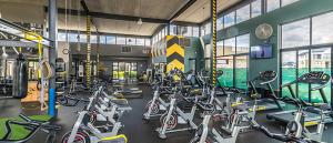- une salle de sport avec de nombreux vélos d'exercice dans l'établissement Kikuyu Lifestyle Escapade de Luxe, à Midrand