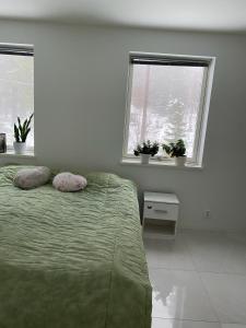 a bedroom with a bed with two pillows and two windows at Natursköna in Borås