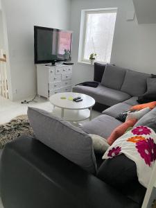 een woonkamer met een bank en een tv bij Natursköna in Borås