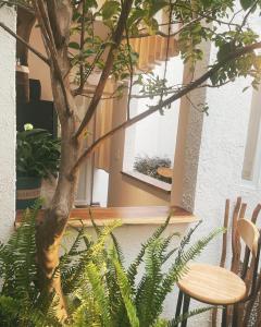 Yên Dung (1)的住宿－BabaHouse2 - Homestay TP Vinh, view sân vườn，一间设有桌子和两把椅子的房间和一棵树