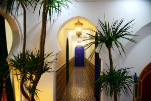 重慶的住宿－重庆天方夜谭民宿，一条种植了棕榈树的走廊和一扇蓝色的门