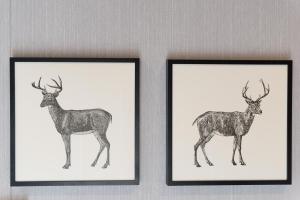 two framed prints of a deer on a wall at Heerlijk Huisje Hoenderloo in Hoenderloo