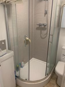 a shower with a glass door in a bathroom at Brimsmore Apartment in Yeovil