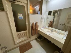 Koupelna v ubytování ホテルカスカベ Hotel Kasukabe