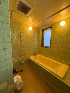 Koupelna v ubytování ホテルカスカベ Hotel Kasukabe