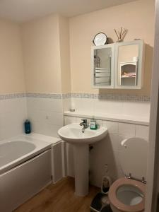 a bathroom with a sink and a toilet and a tub at Brimsmore Apartment in Yeovil