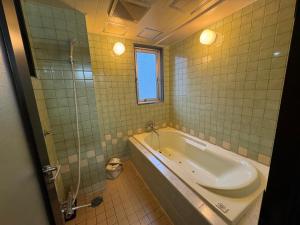 Koupelna v ubytování ホテルカスカベ Hotel Kasukabe