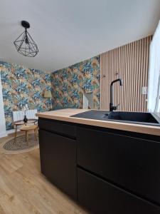 坎佩尔Le Cottage的带水槽的厨房和客厅 更多6张照片