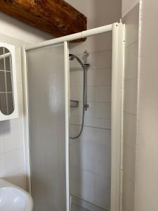 W łazience znajduje się prysznic ze szklanymi drzwiami. w obiekcie Agriturismo La Rasdora w mieście Porto Mantovano