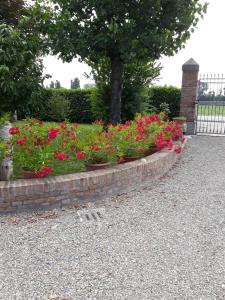 カステル・マッジョーレにあるAl sit ed Marinoのギャラリーの写真