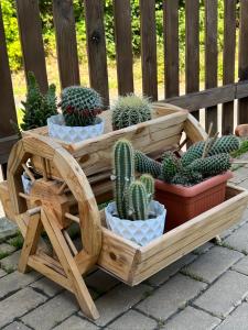 a wooden bench with cactuses and potted plants on it at 7Rooms in Telnice