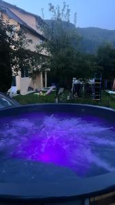 a hot tub filled with purple water in a yard at Pensiunea Mary in Moieciu de Jos